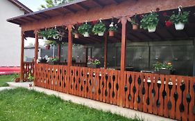 Vila Baciu